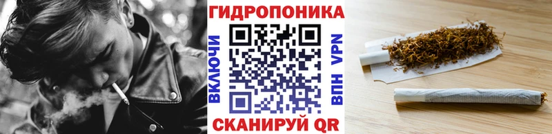 Канабис гибрид Власиха